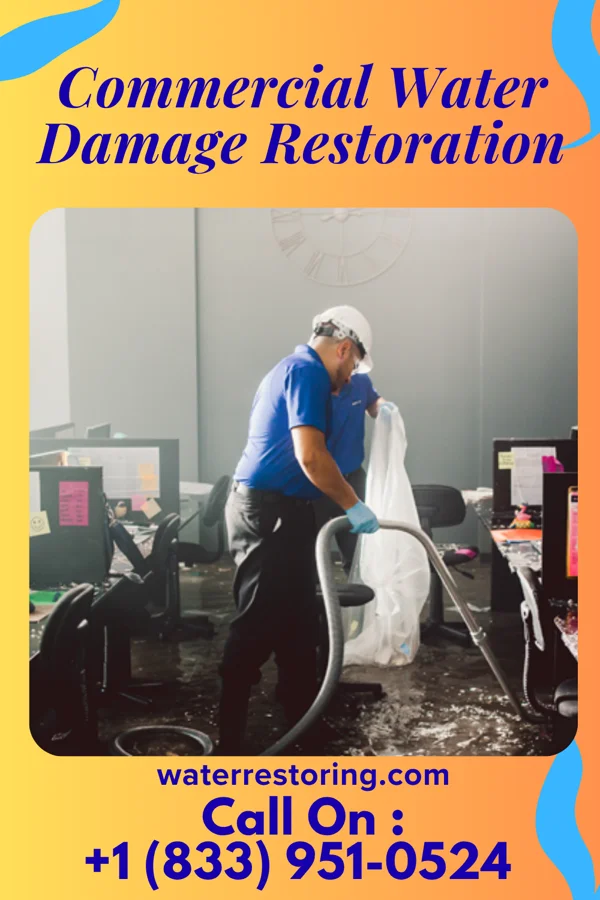 Commercial Water Damage Restoration in Estral Beach, MI