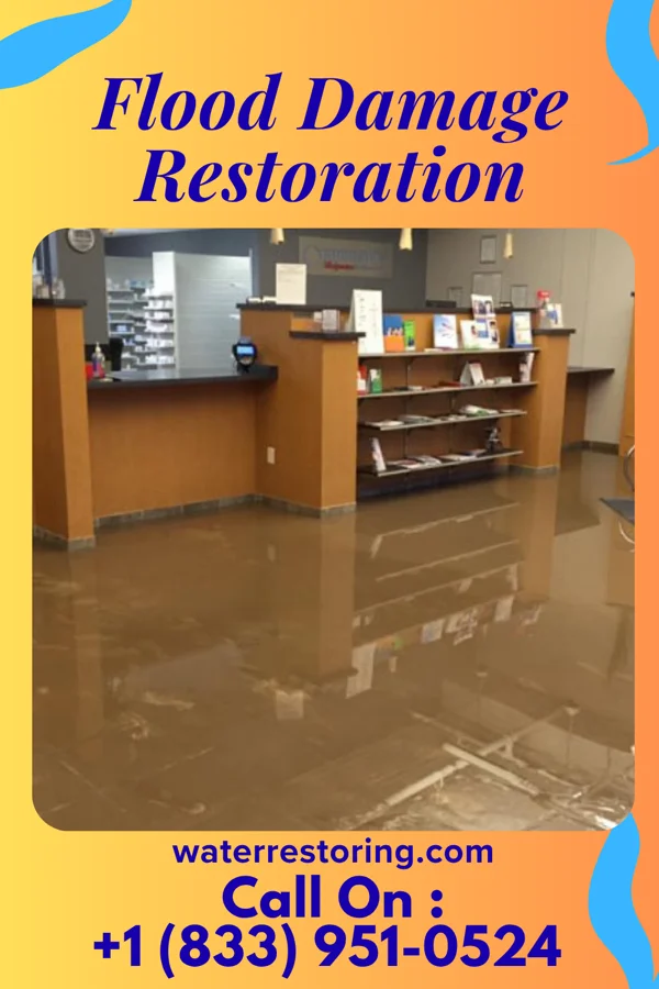 Flood Damage Restoration in Estral Beach, MI