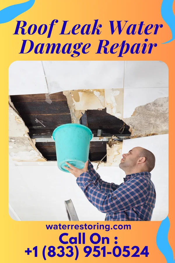 Roof Leak Water Damage Repair in Estral Beach, MI