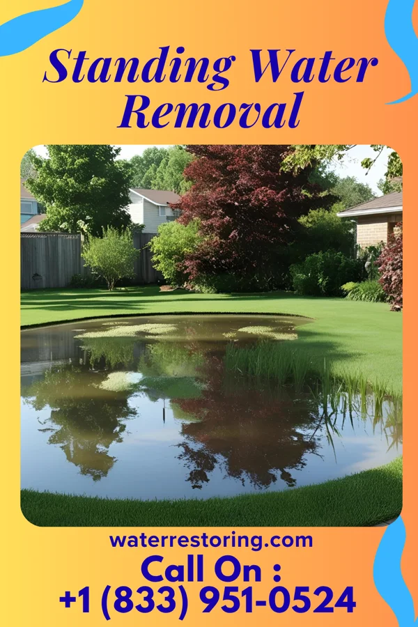 Standing Water Removal in Estral Beach, MI